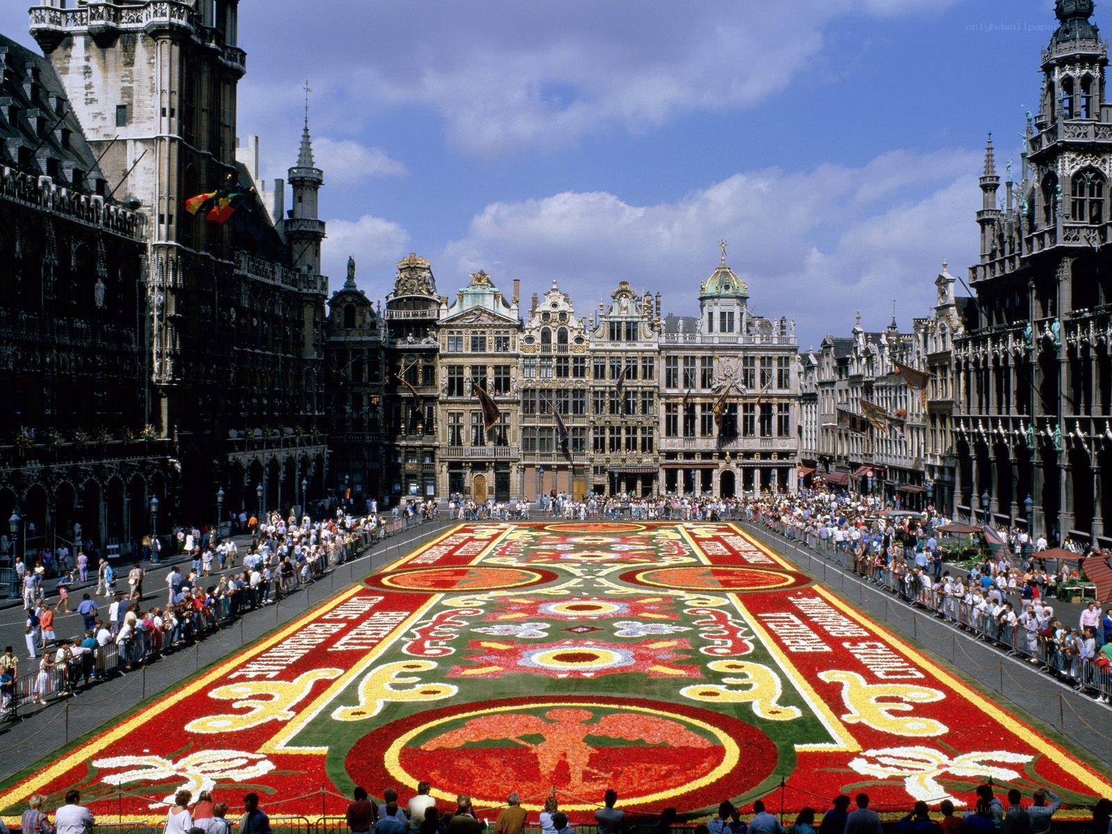 Flower carpet in Brussels