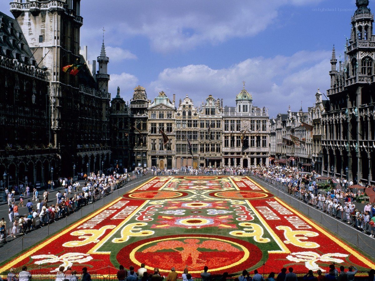 Flower carpet in Brussels