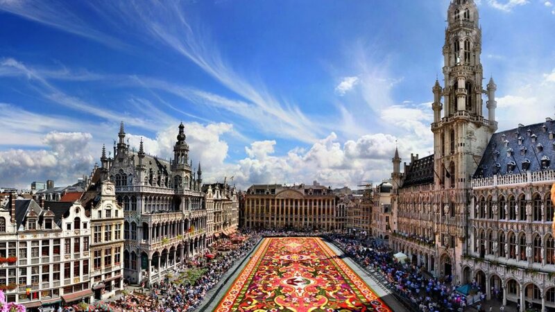 Flower Carpet in Square — Blue