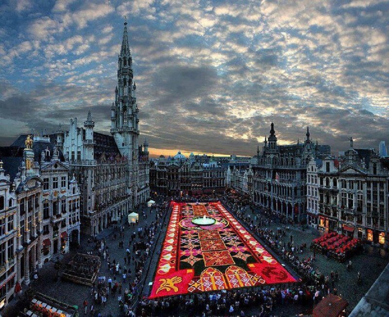 Flower Carpet in Square — Red, Dramatic, Sunset