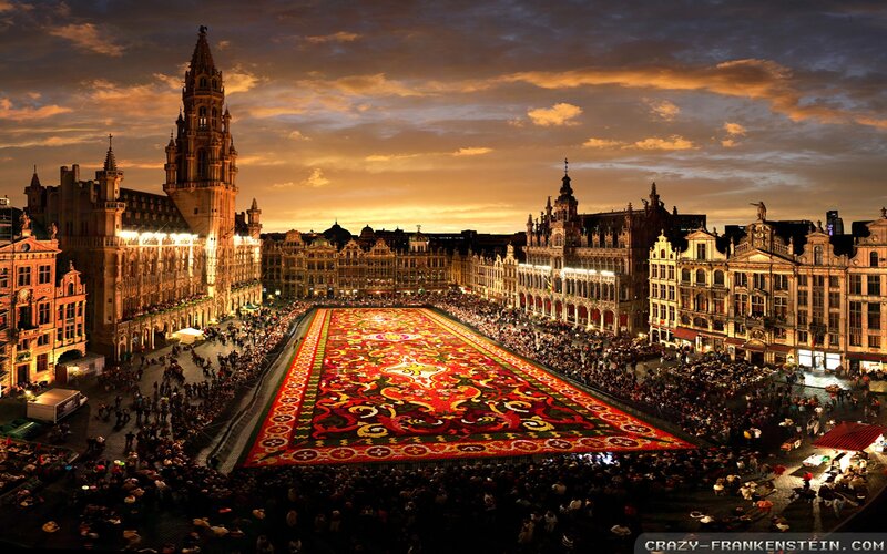Flower Carpet in Square — Red, Dramatic