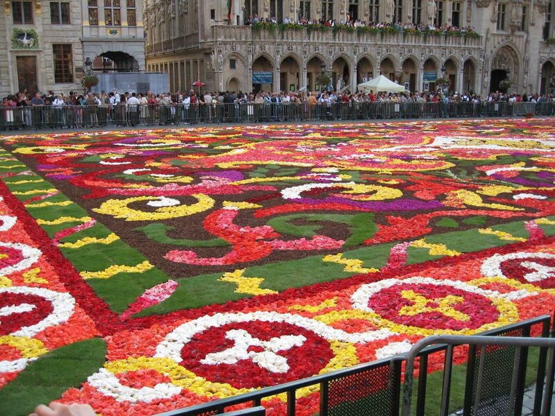 Flower Carpet in Square