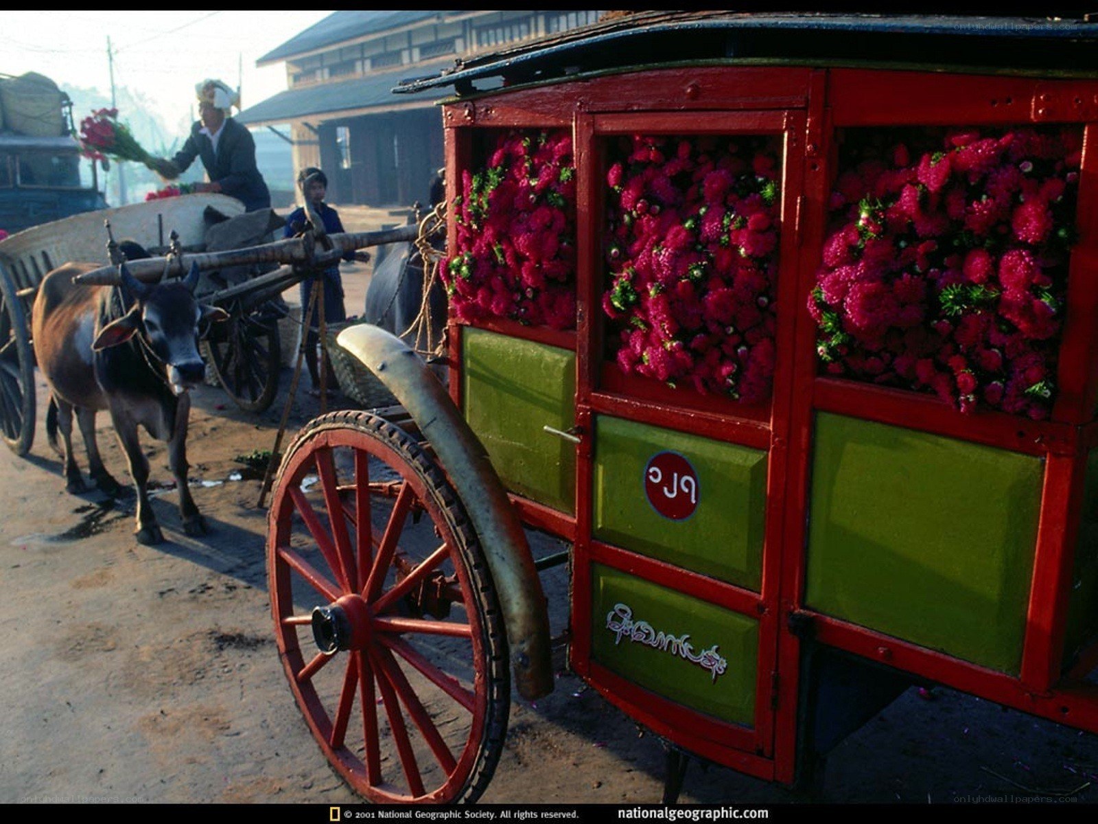 Flower cart in Myanmar