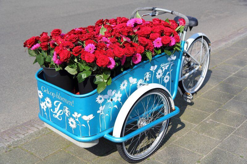 Flower Cart on Bicycle