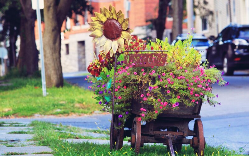 Flower Cart with Sunflower