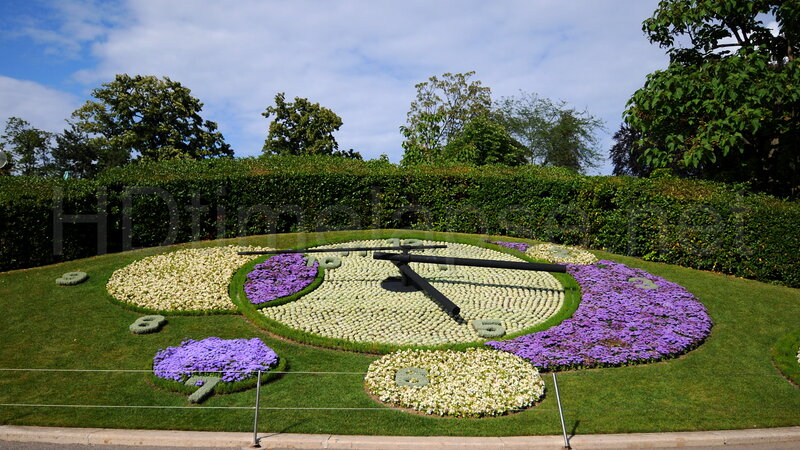 Flower Clock in Garden — Green, Serene