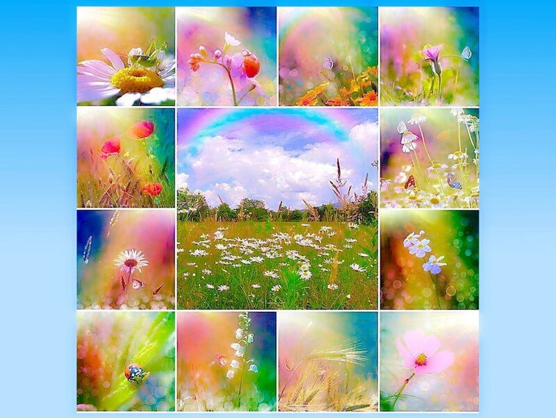 Flower Collage — Blue
