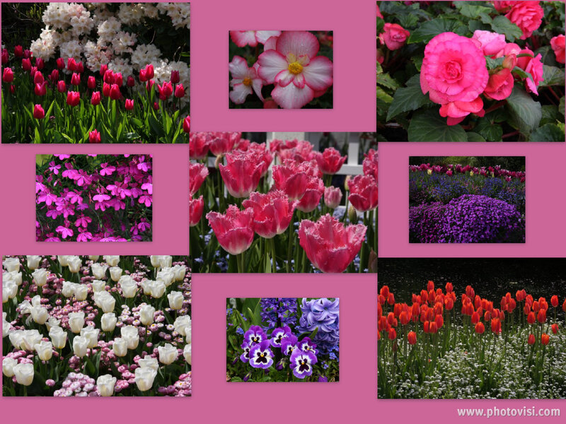 Flower collage collection