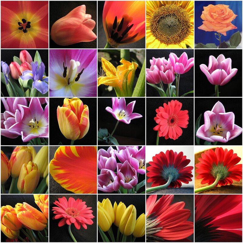 Flower collage grid