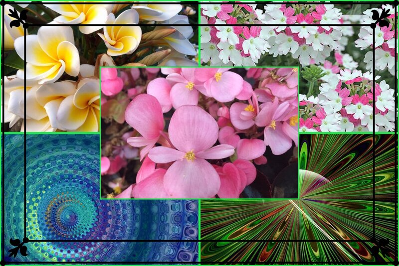 Flower Collage — Pink, Vibrant