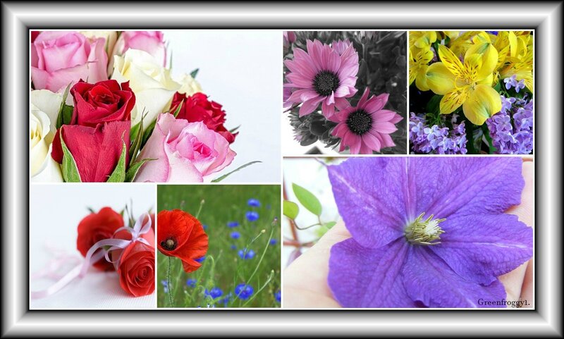 Flower Collage — Purple, Serene