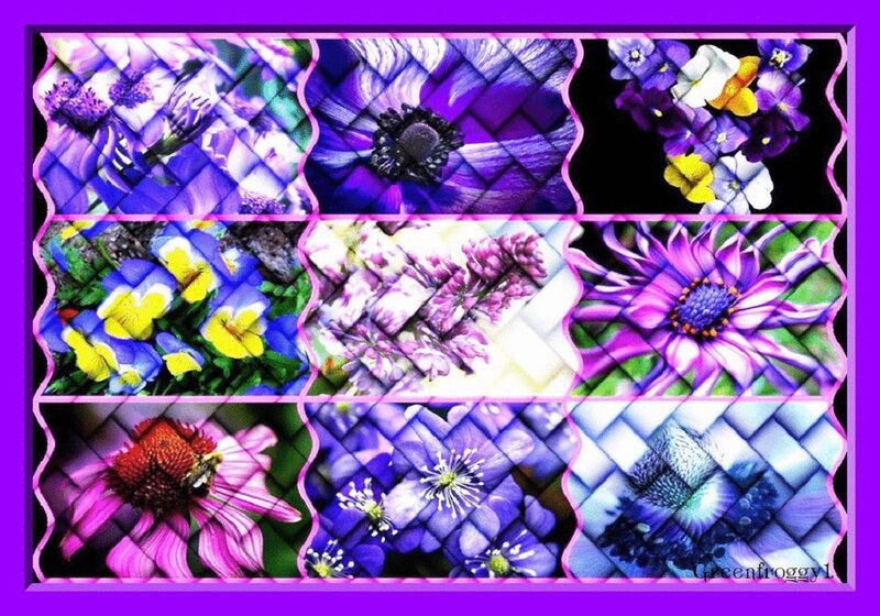 Flower Collage — Purple