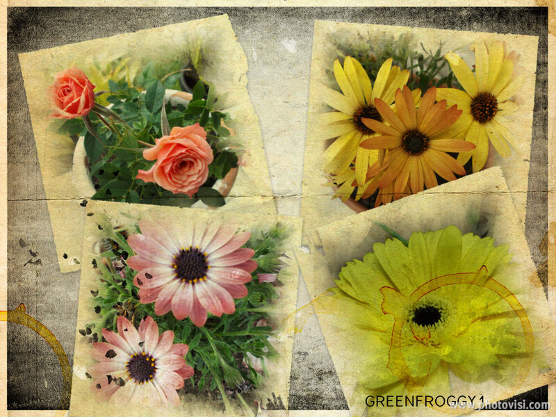 Flower Collage — Yellow