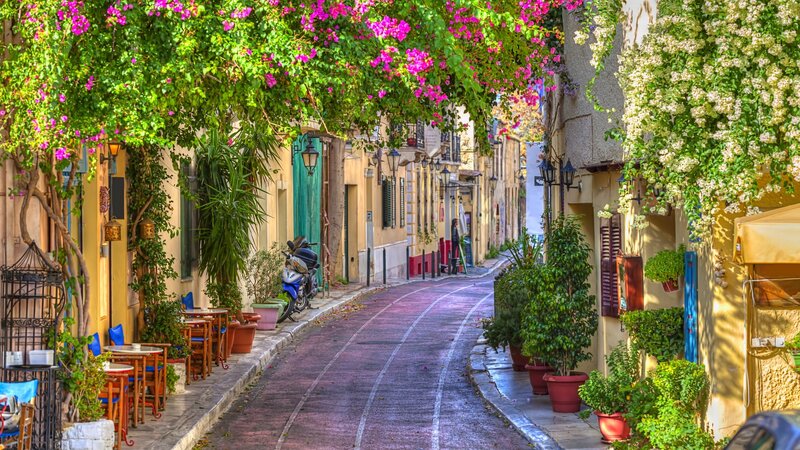 Flower-covered Alleyway — Green