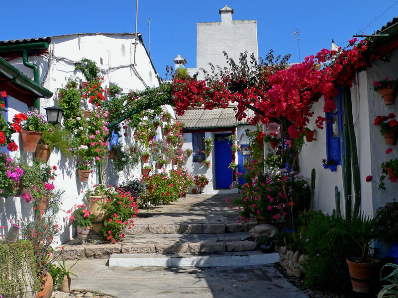 Flower-covered Alleyway