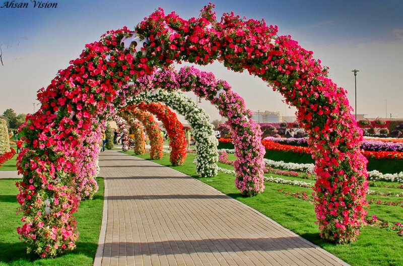 Flower-covered Arches