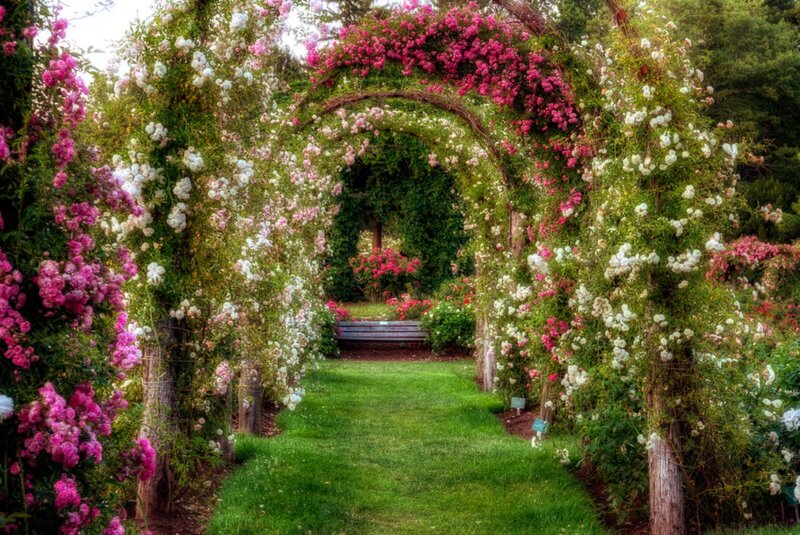 Flower-covered Archway — Green