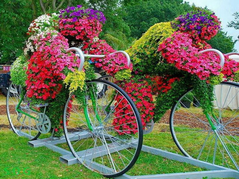 Flower-covered Bicycles — Green