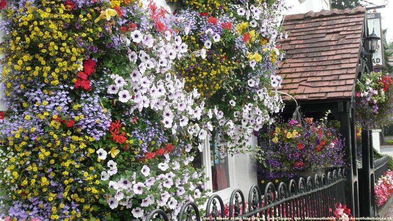 Flower-covered Building — Purple