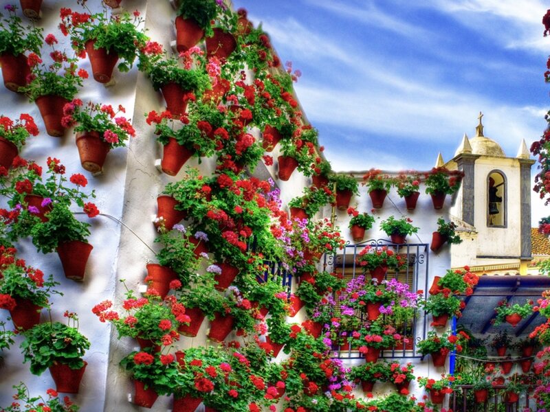 Flower-covered Building — Red