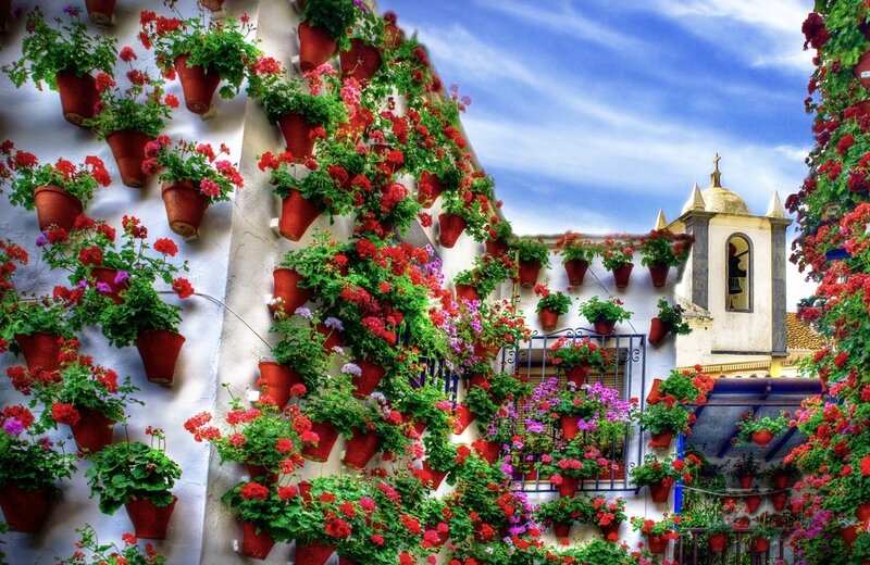 Flower-covered Building