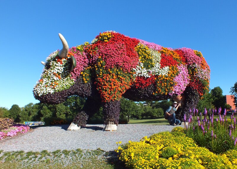 Flower-covered Bull Sculpture