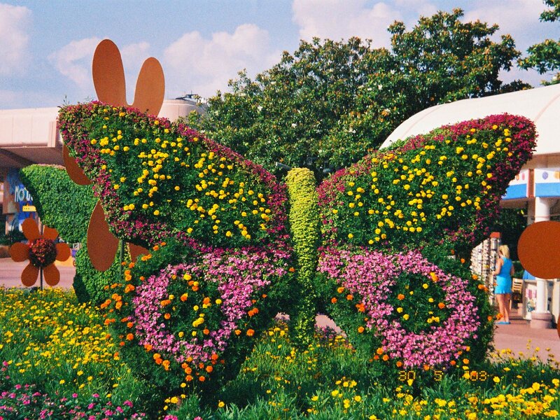 Flower-covered Butterfly Sculpture