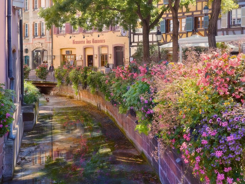 Flower-covered Canal — Pink