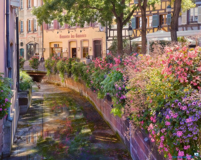 Flower-covered Canal