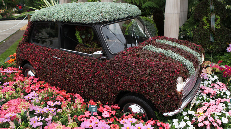 Flower-covered Car — Red