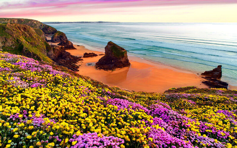 Flower-covered Cliffs