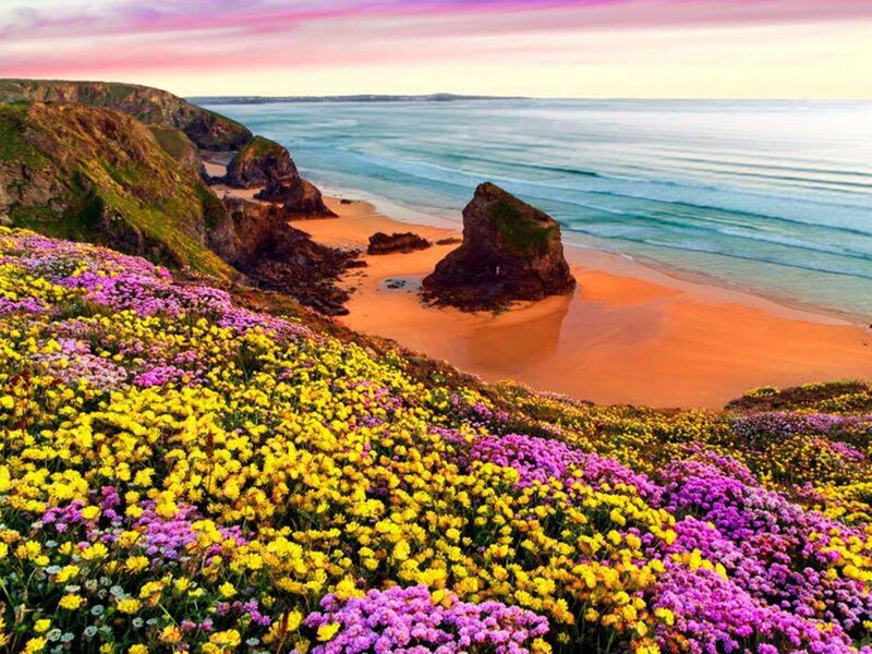 Flower-covered Cliffs — Yellow