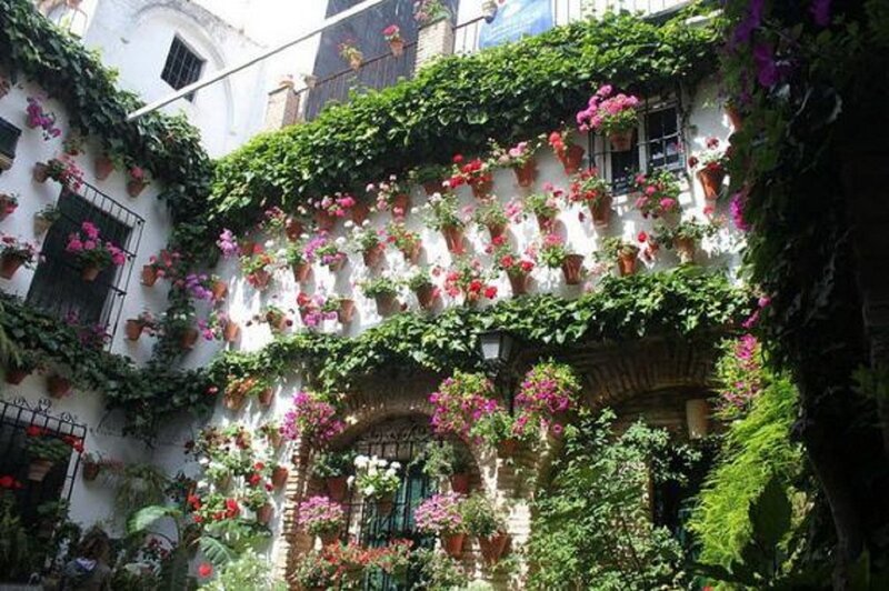 Flower-covered Courtyard — Green