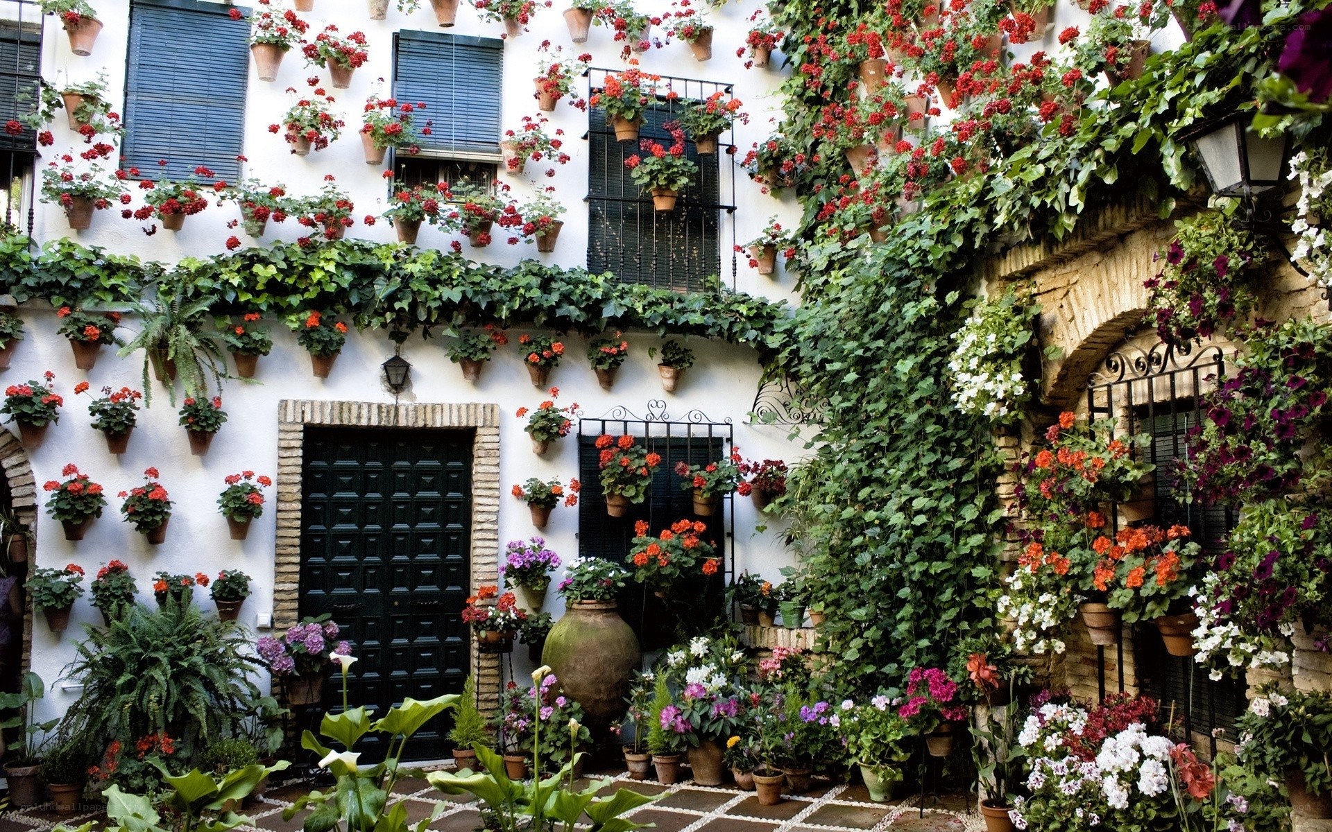 Flower-covered courtyard in Spain