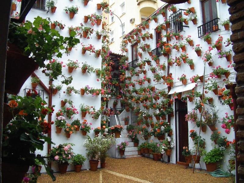 Flower-covered Courtyard