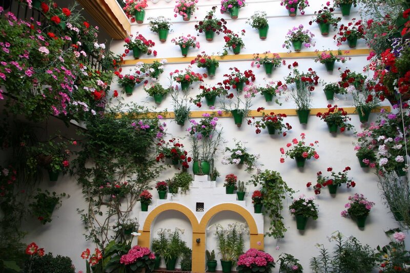 Flower-covered Courtyard Wall — White