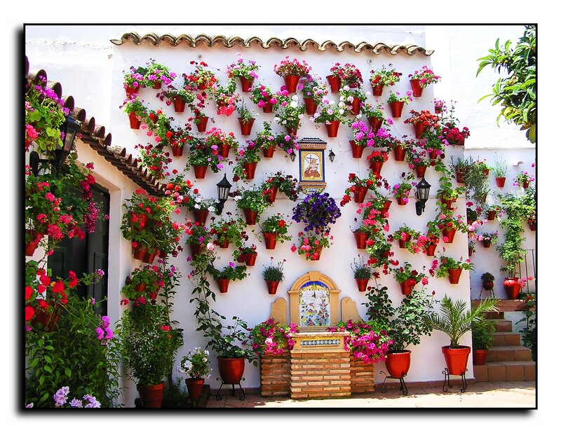 Flower-covered Courtyard Wall — White, Vibrant