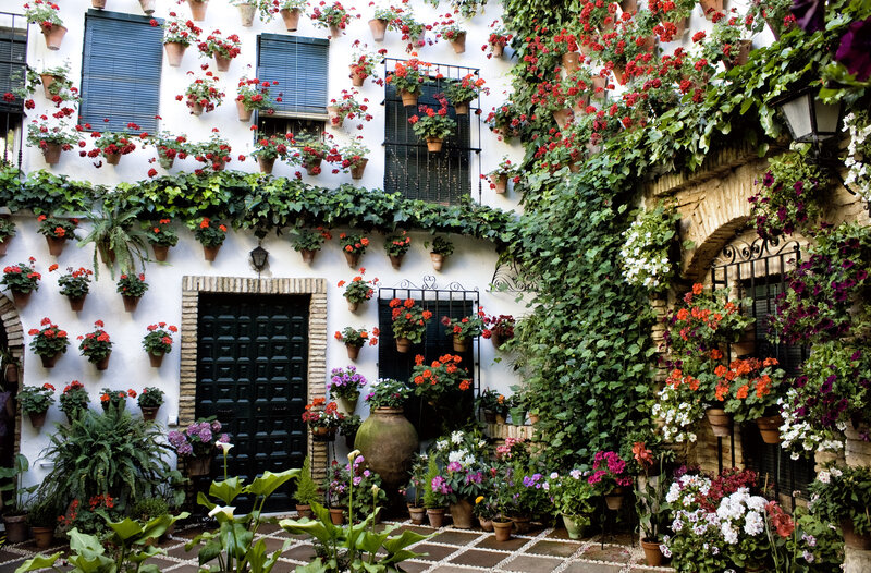 Flower-covered Courtyard — White