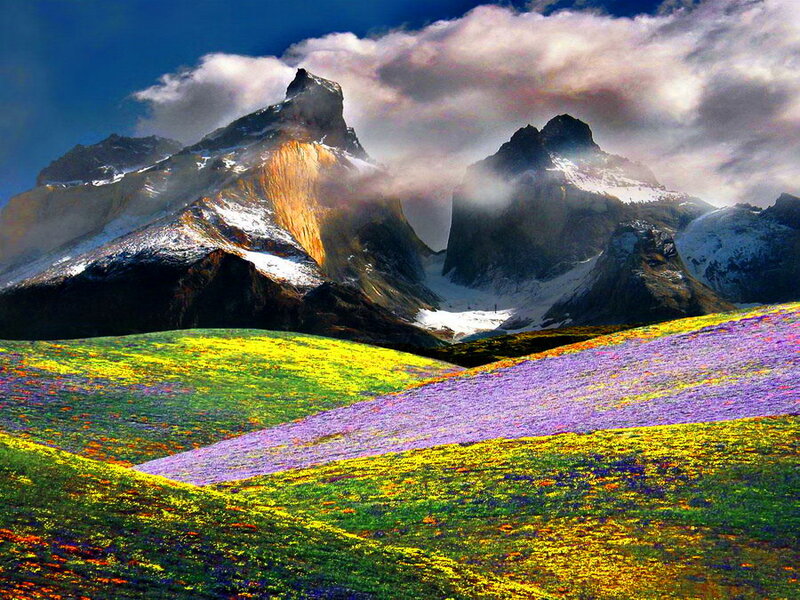 Flower-covered Hills and Mountains