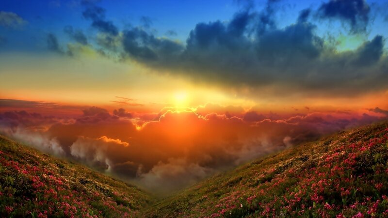 Flower-covered Hills at Sunset — Orange, Dramatic, Photograph