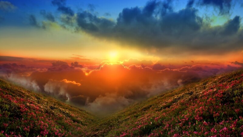 Flower-covered Hills at Sunset — Orange, Dramatic