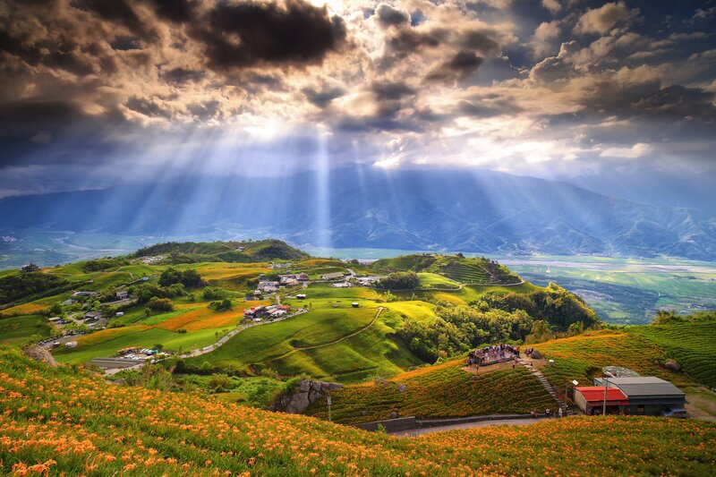 Flower-covered Hills — Green