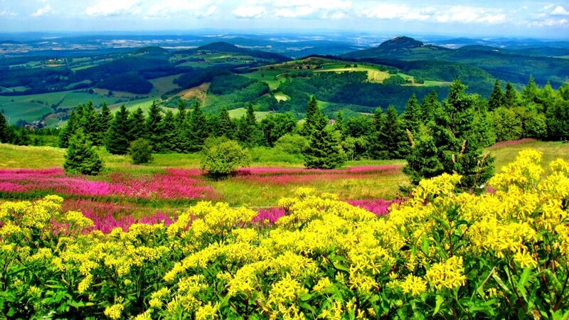 Flower-covered Hills — Yellow
