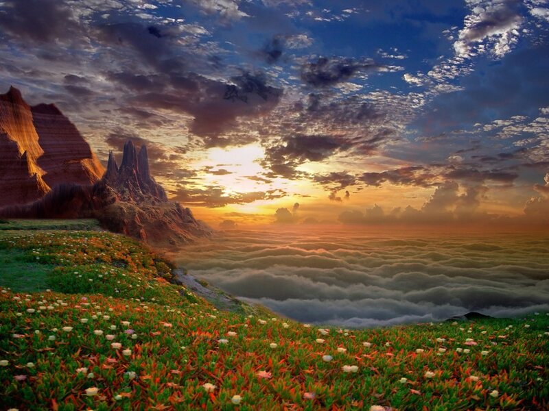Flower-covered Hillside — Green, Dramatic, Sunrise