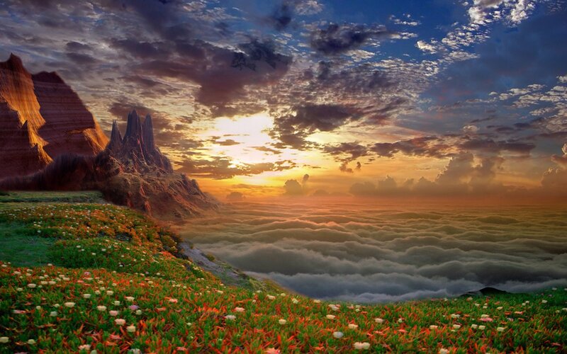 Flower-covered Hillside — Green, Dramatic, Sunset