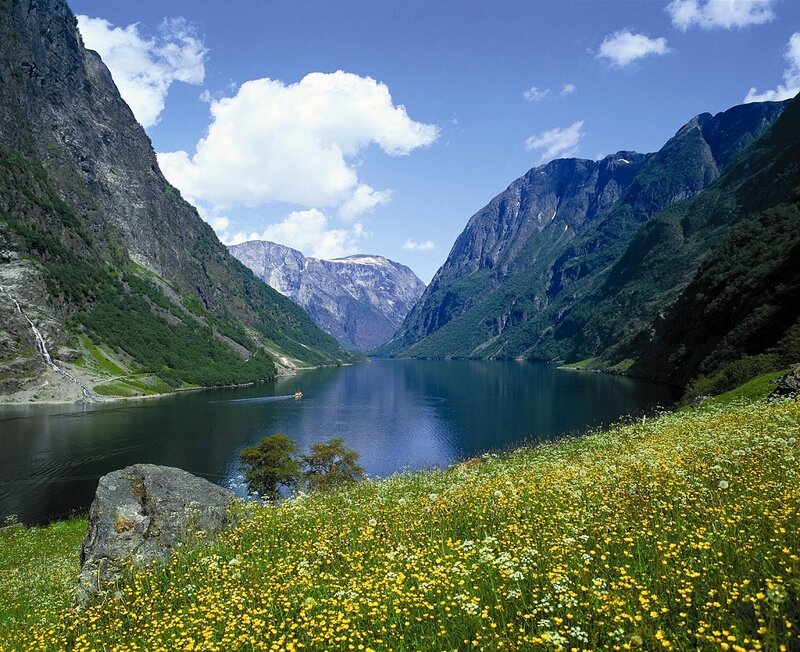 Flower-covered Hillside — Green, Serene