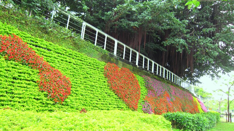 Flower-covered Hillside — Green