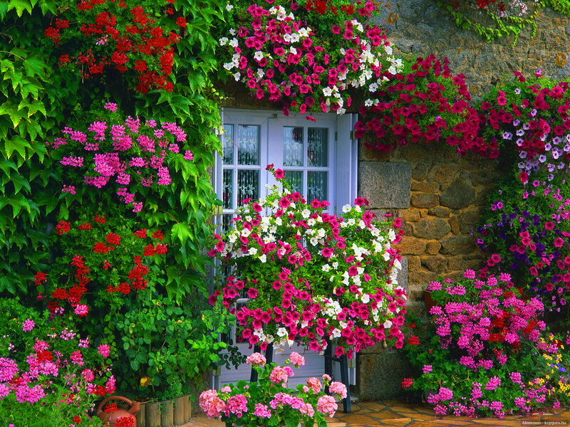 Flower-covered House Entrance — Green