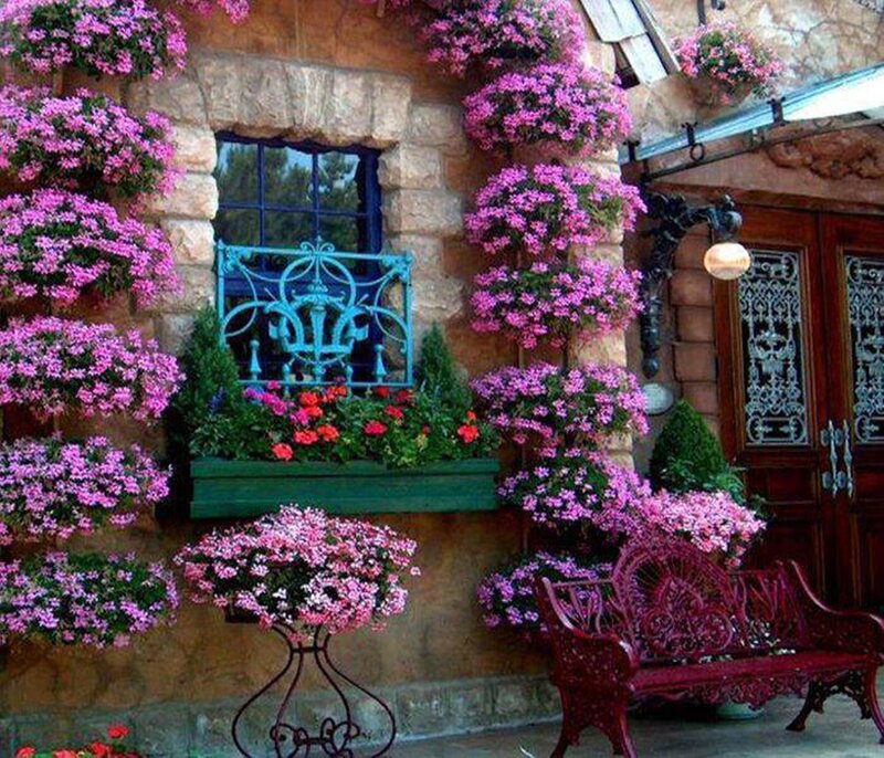 Flower-covered House Facade — Pink