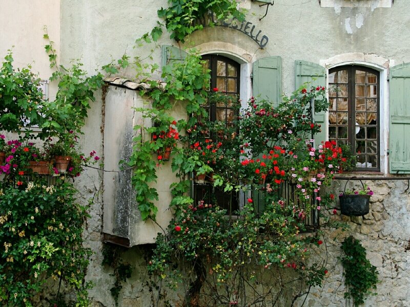 Flower-covered house facade